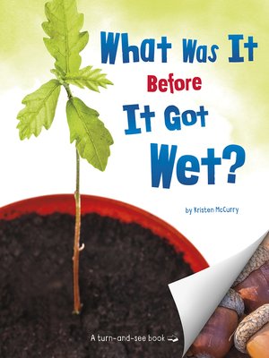 cover image of What Was It Before It Got Wet?